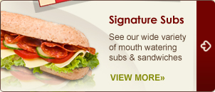 Subs & Sandwiches | Menu